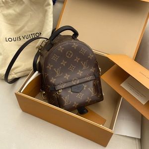 Louis Vuitton Palms Springs Mini Backpack